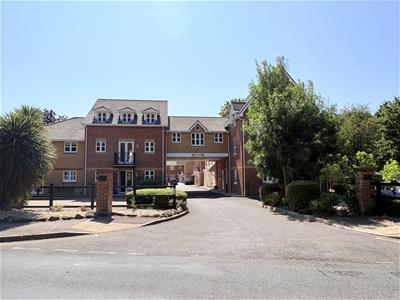 Picture 14